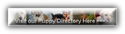 Our Puppy Directory