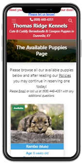 Browse available puppies on your phone